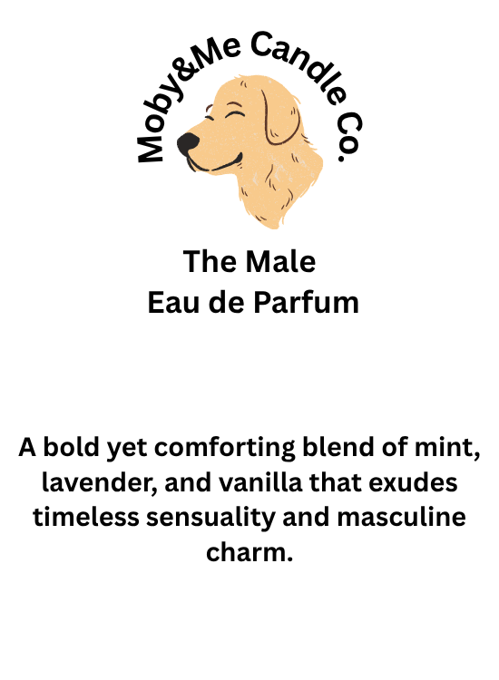 The Male Eau de Parfum 30ml Inspire by Jean Paul Gaultier Le Male