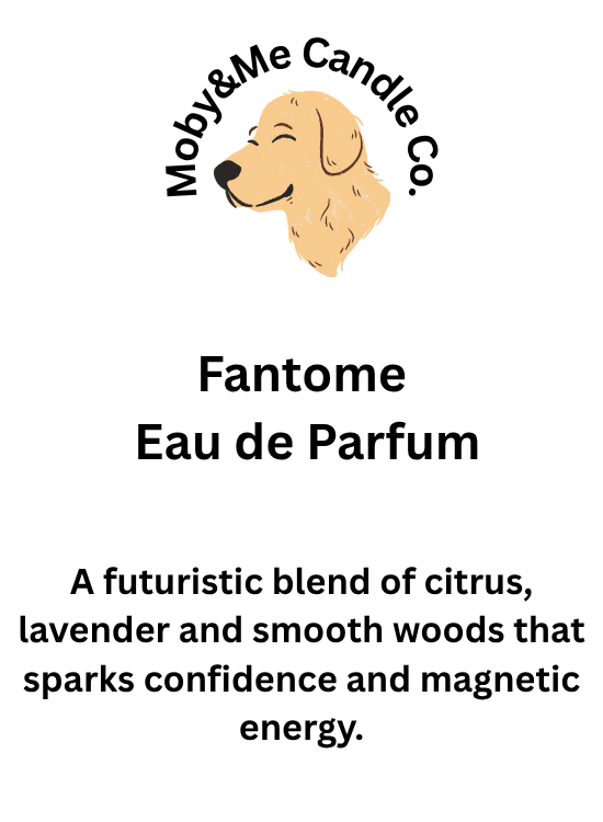 Fantome Eau de Parfum 30ml Inspired by Paco Rabanne Phantom
