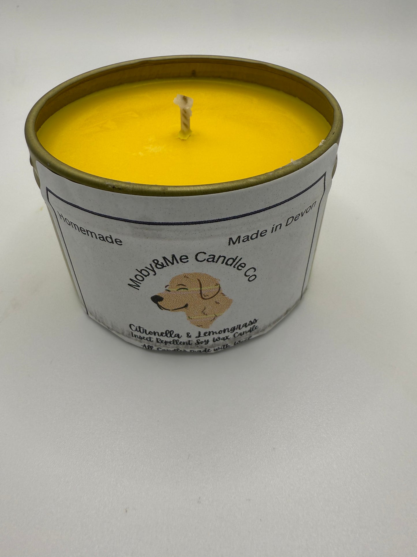 Small Citronella & Lemongrass Insect Repellent Soy Candle